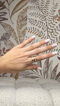 Anillo jerez