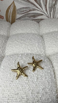 Pendiente Estrella